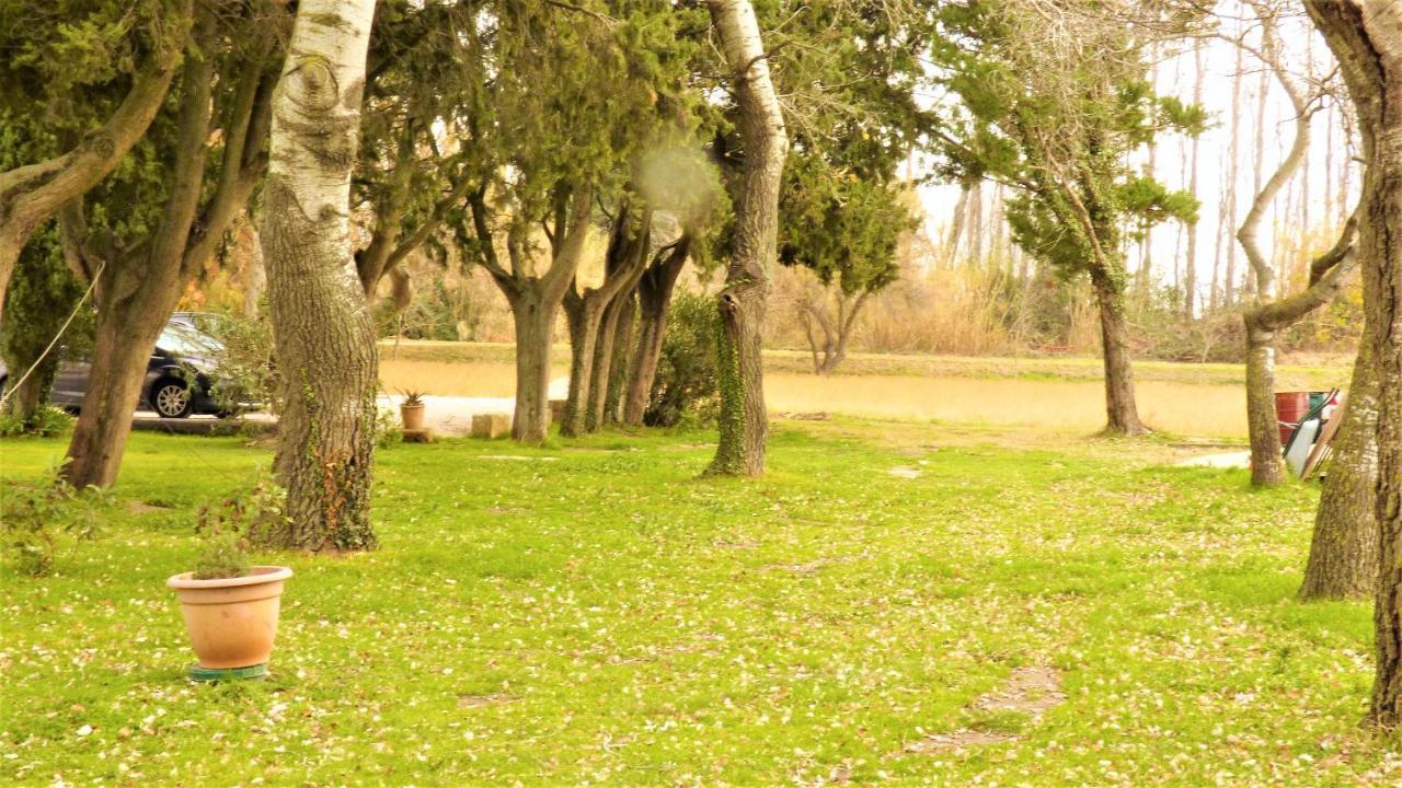 Mas Des Cypres, Clim - Jardin En Camargue Villa อาร์ลส์ ภายนอก รูปภาพ