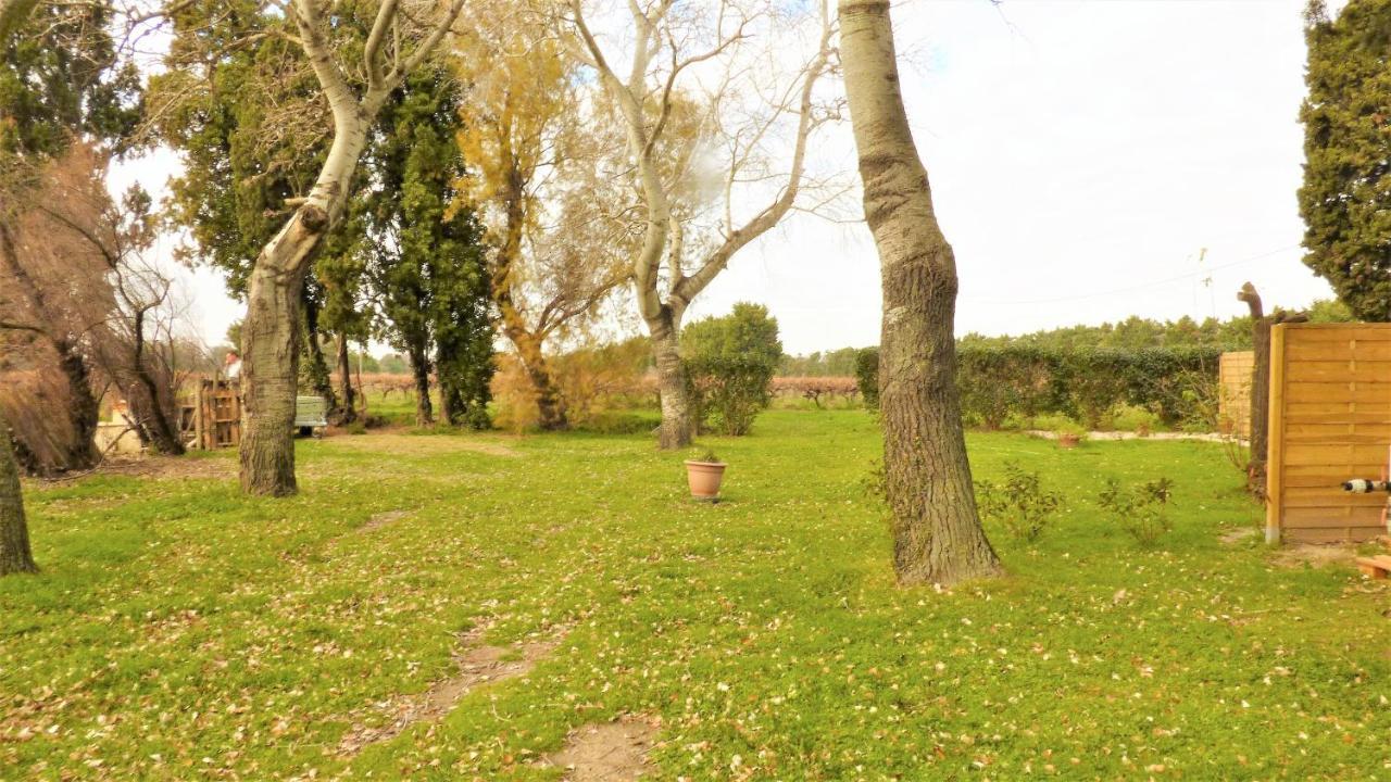 Mas Des Cypres, Clim - Jardin En Camargue Villa อาร์ลส์ ภายนอก รูปภาพ