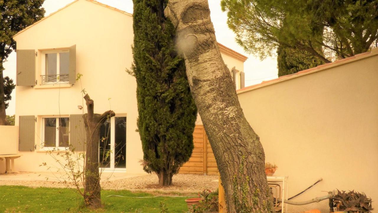 Mas Des Cypres, Clim - Jardin En Camargue Villa อาร์ลส์ ภายนอก รูปภาพ